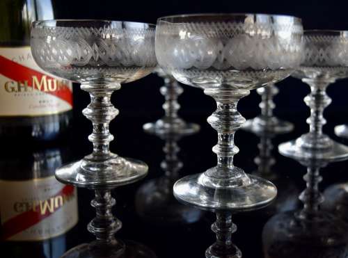 6 Val Saint Lambert etched Champagne Glasses Belle Epoque