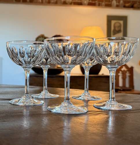 5 Edwardian Champagne Glasses with vertical prisms